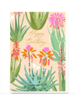 Noi Publishing Aloe Vera Birthday