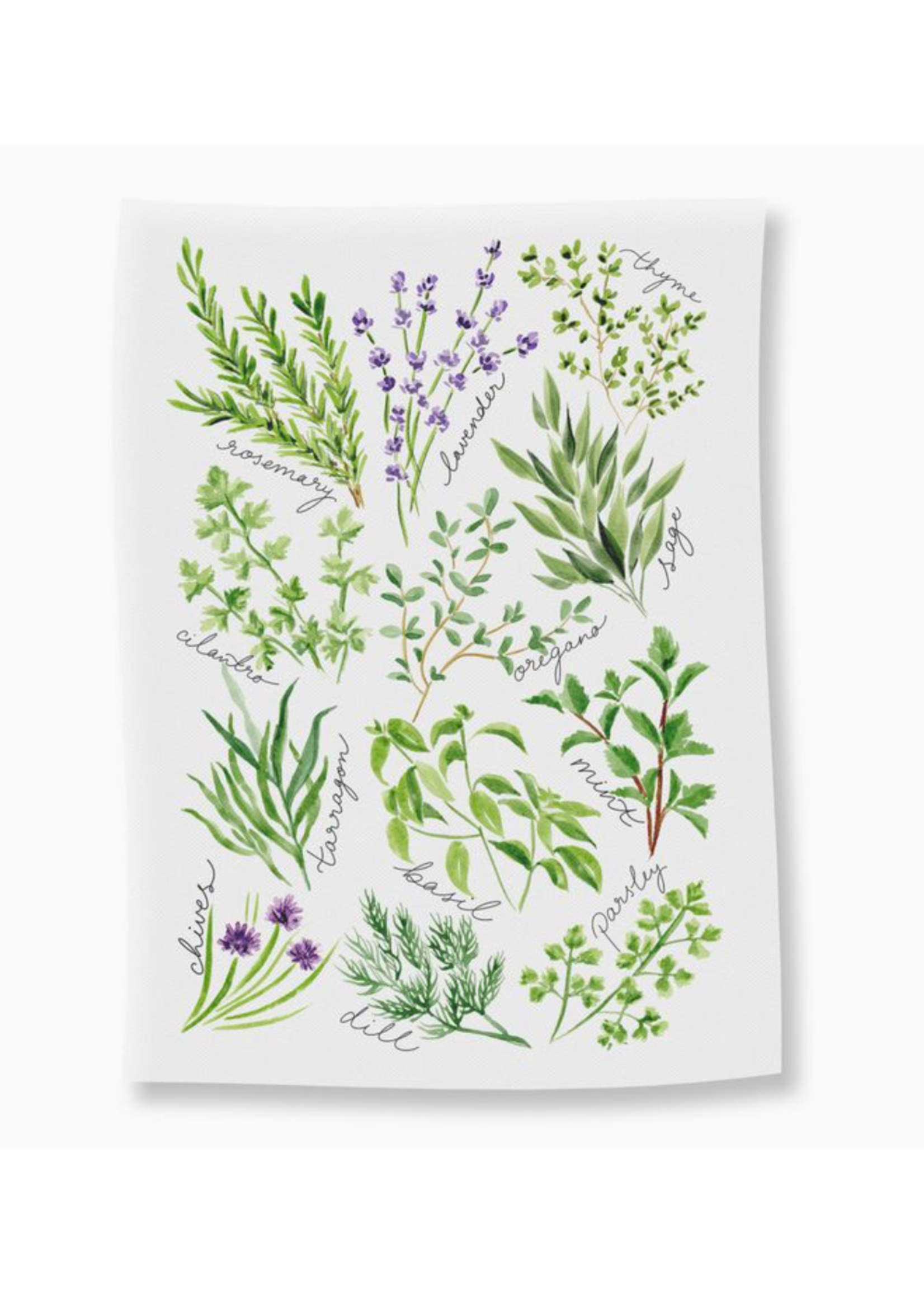 Almeida Illustrations Kitchen Herbs Tea Towel