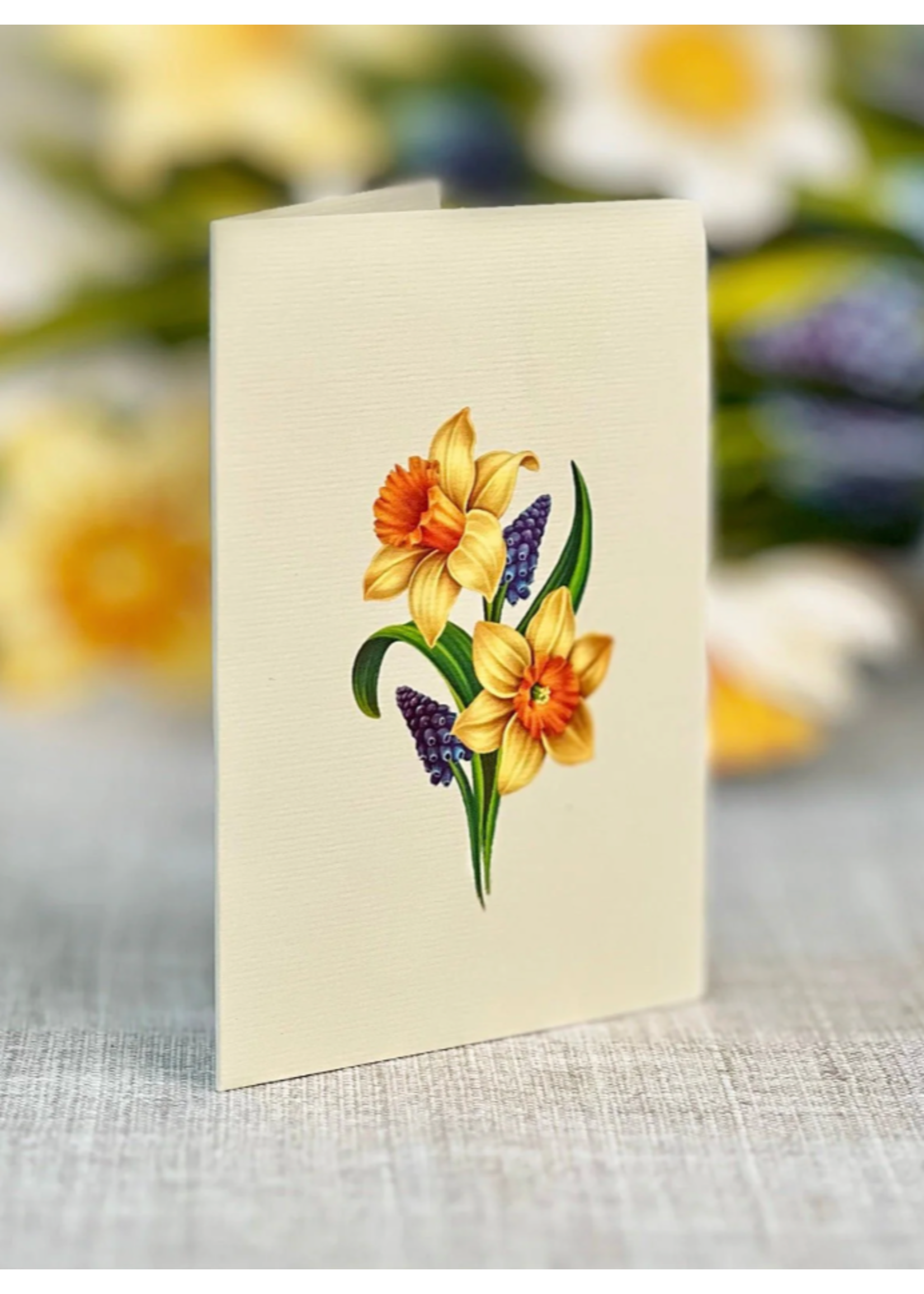 Fresh Cut Paper English Daffodils Mini Pop Up Flower Bouquet