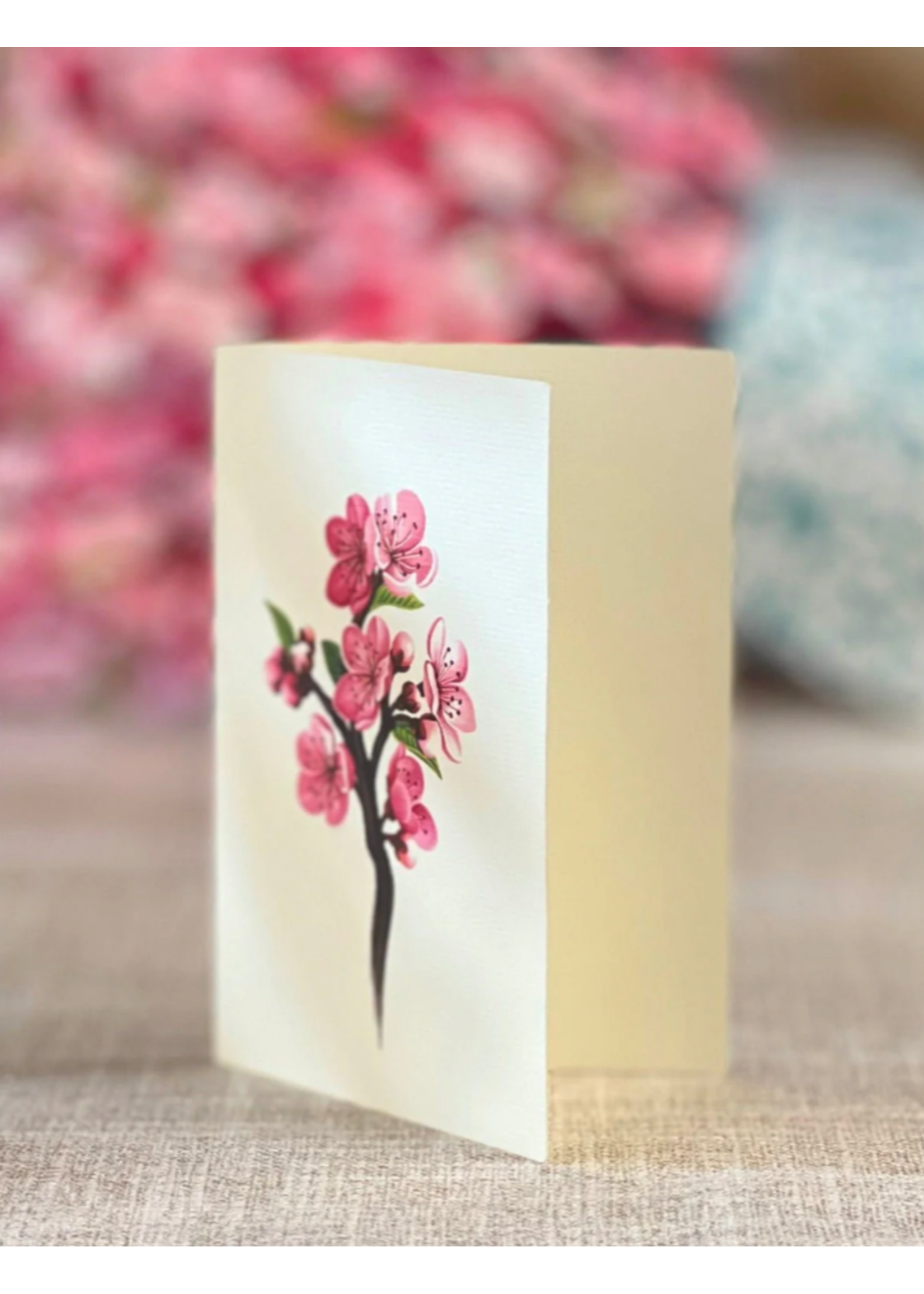 Fresh Cut Paper Japanese Cherry Blossoms Pop Up Flower Bouquet