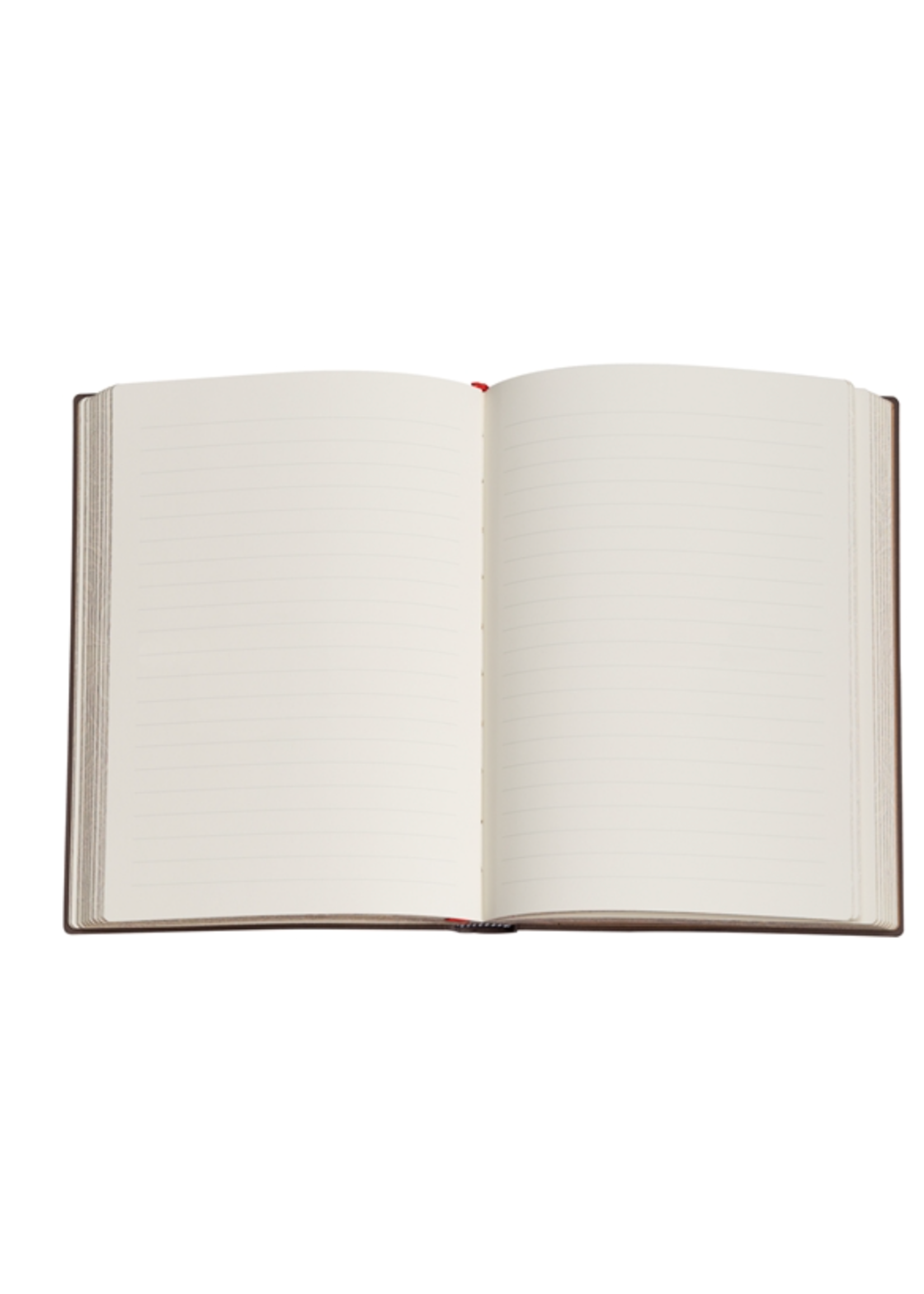 Paperblanks Blue Willow Lined Mini Hardcover