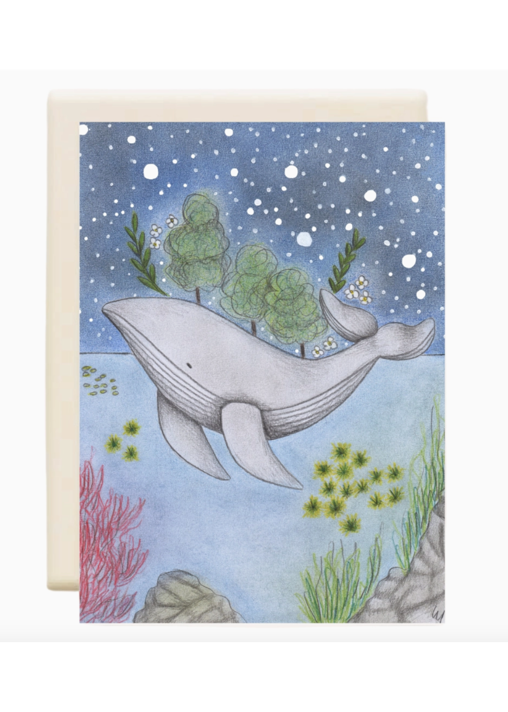 Inkwell Cards Whale CBA013
