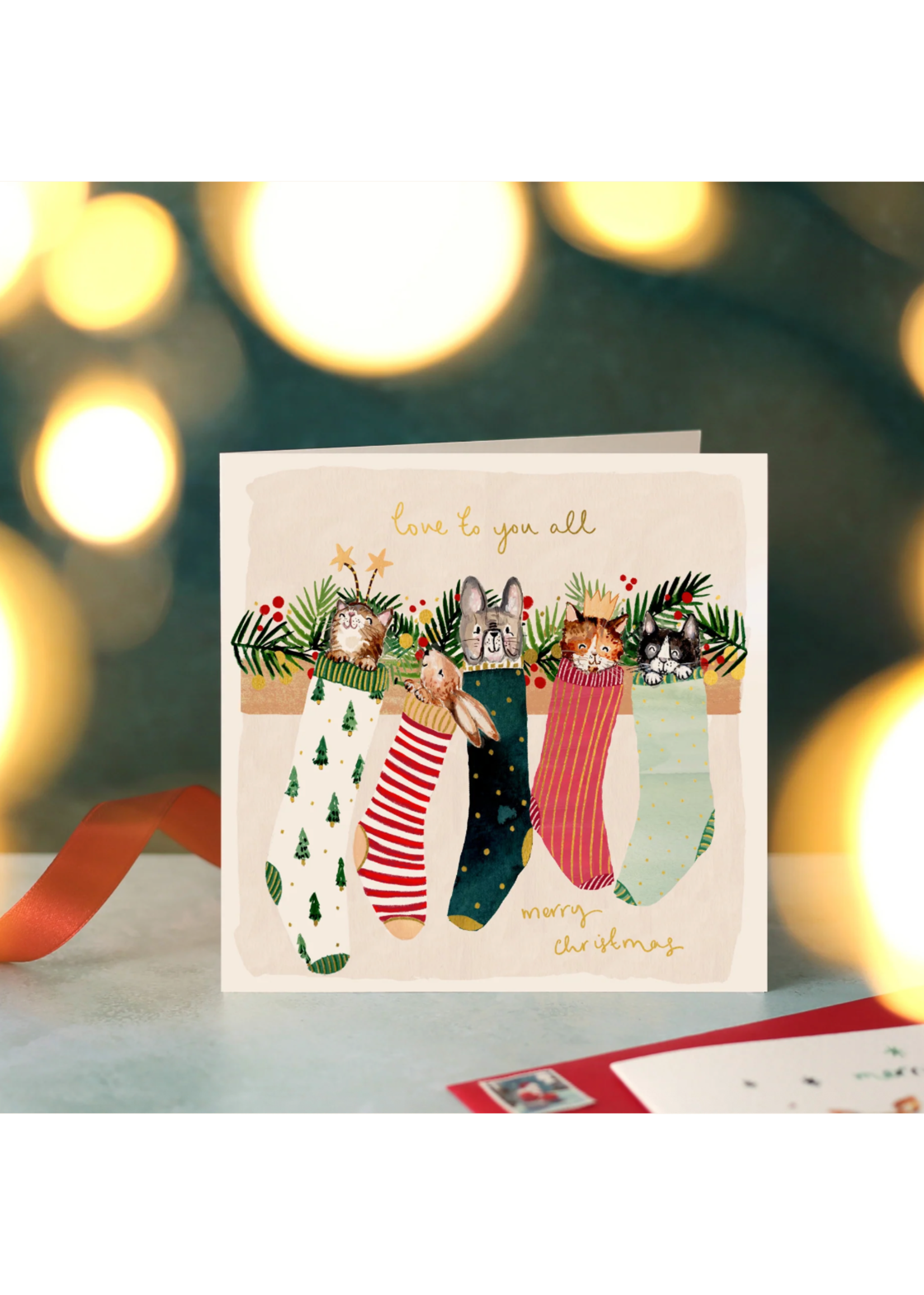 Louise Mulgrew Animals in Stockings Love To You All