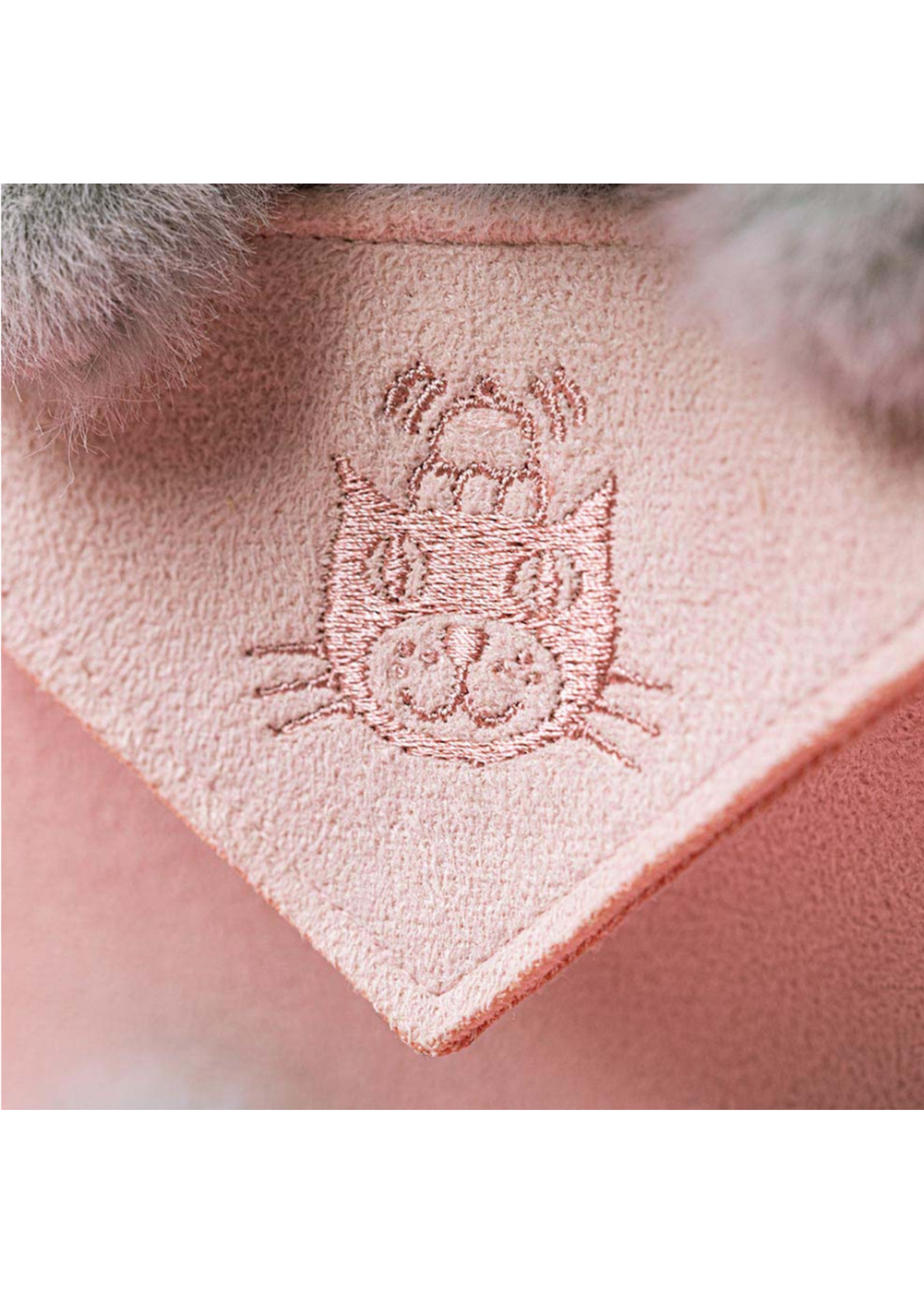 Jellycat Koala with Message Jellycat