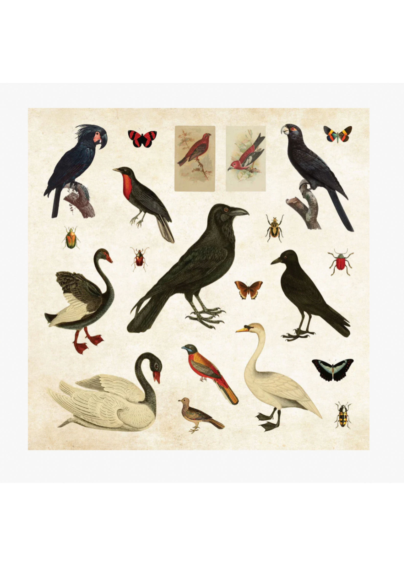 Peter Pauper Press Mystical Ephemera Sticker Book