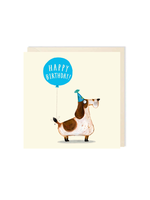 Charley Rabbit Studio Birthday Spaniel