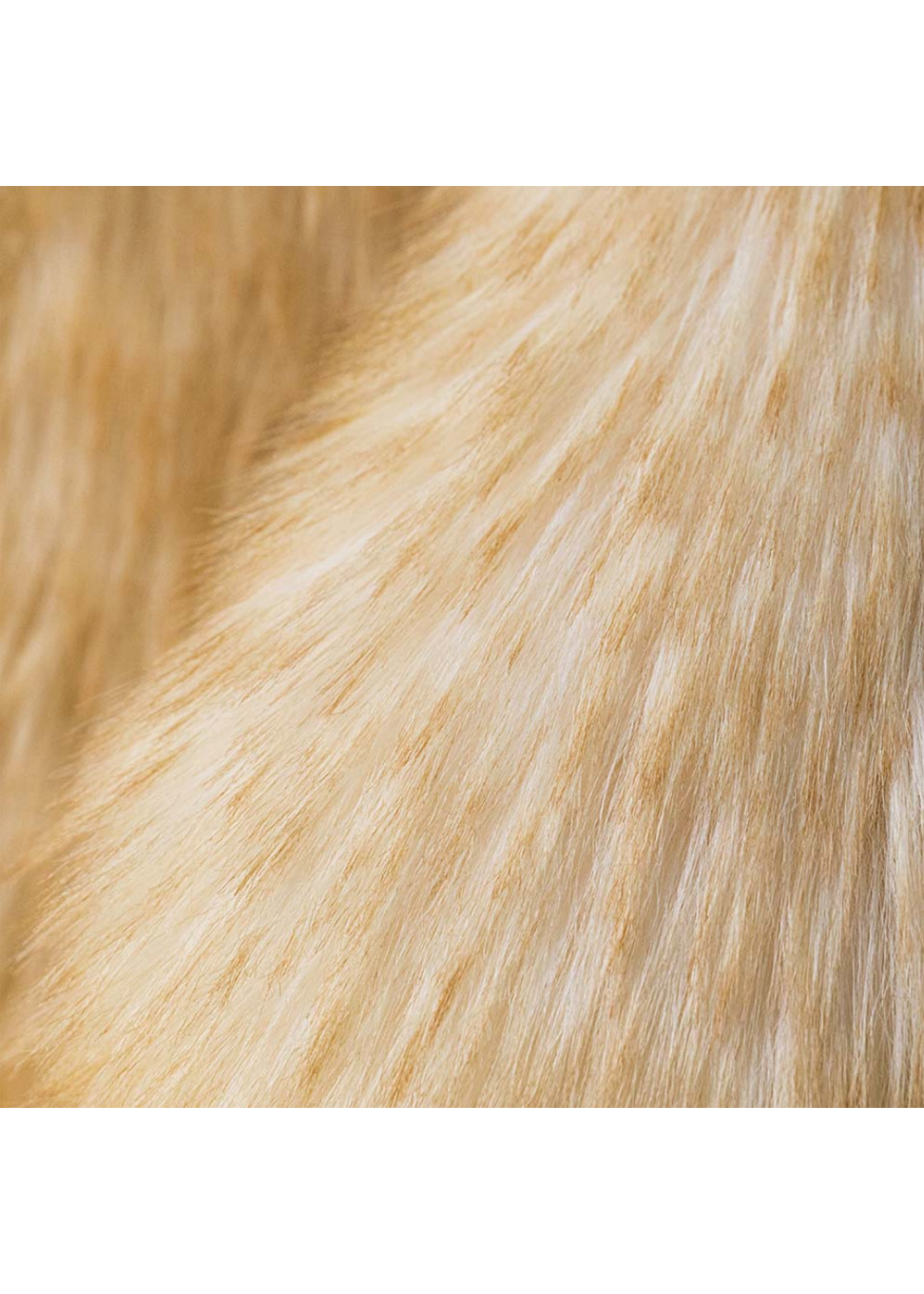 Jellycat Springlowe Luxe Bunny Big Jellycat