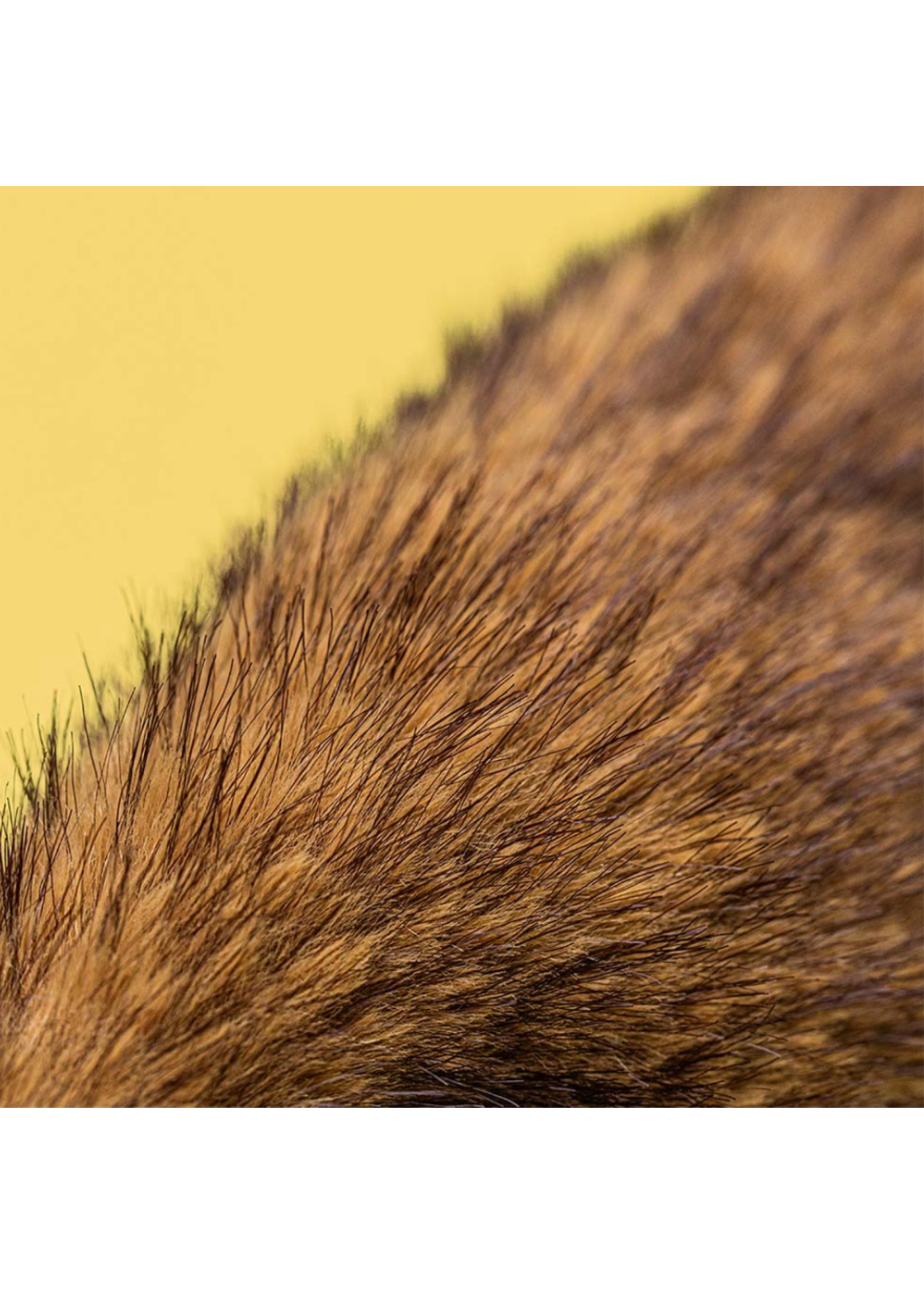 Jellycat Hoppleston Luxe Bunny Original Jellycat