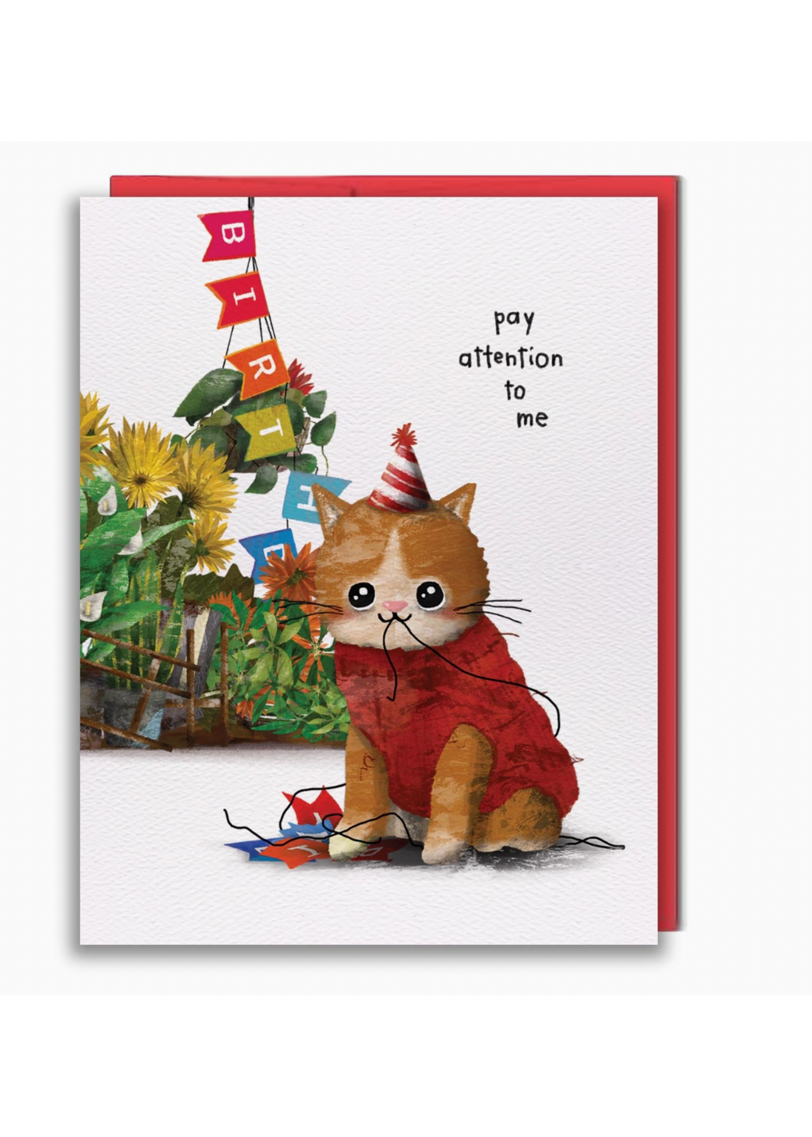Studio Vcky Pay Attention To Me Cat Greeting Card