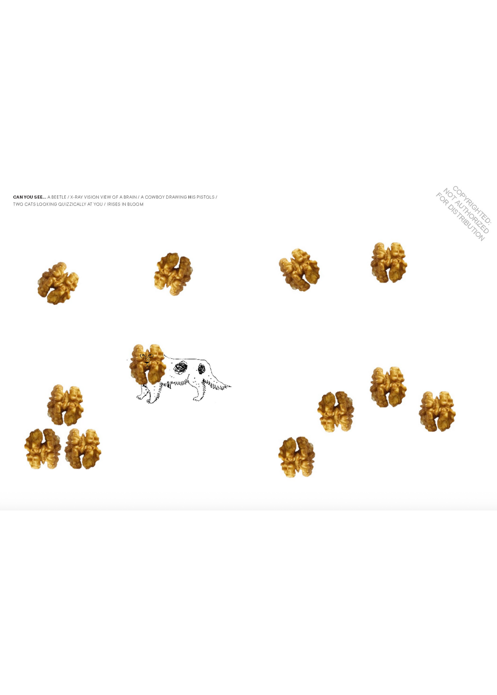 Laurence King The Drawing Game