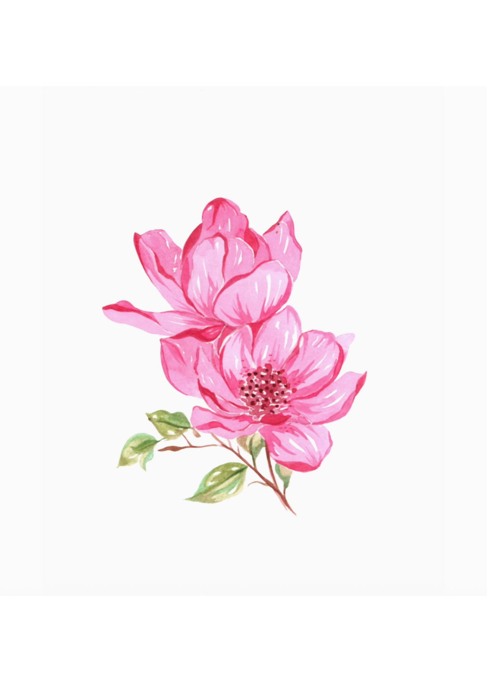 Willow Wolfe Bold Flowers Watercolour Workbook