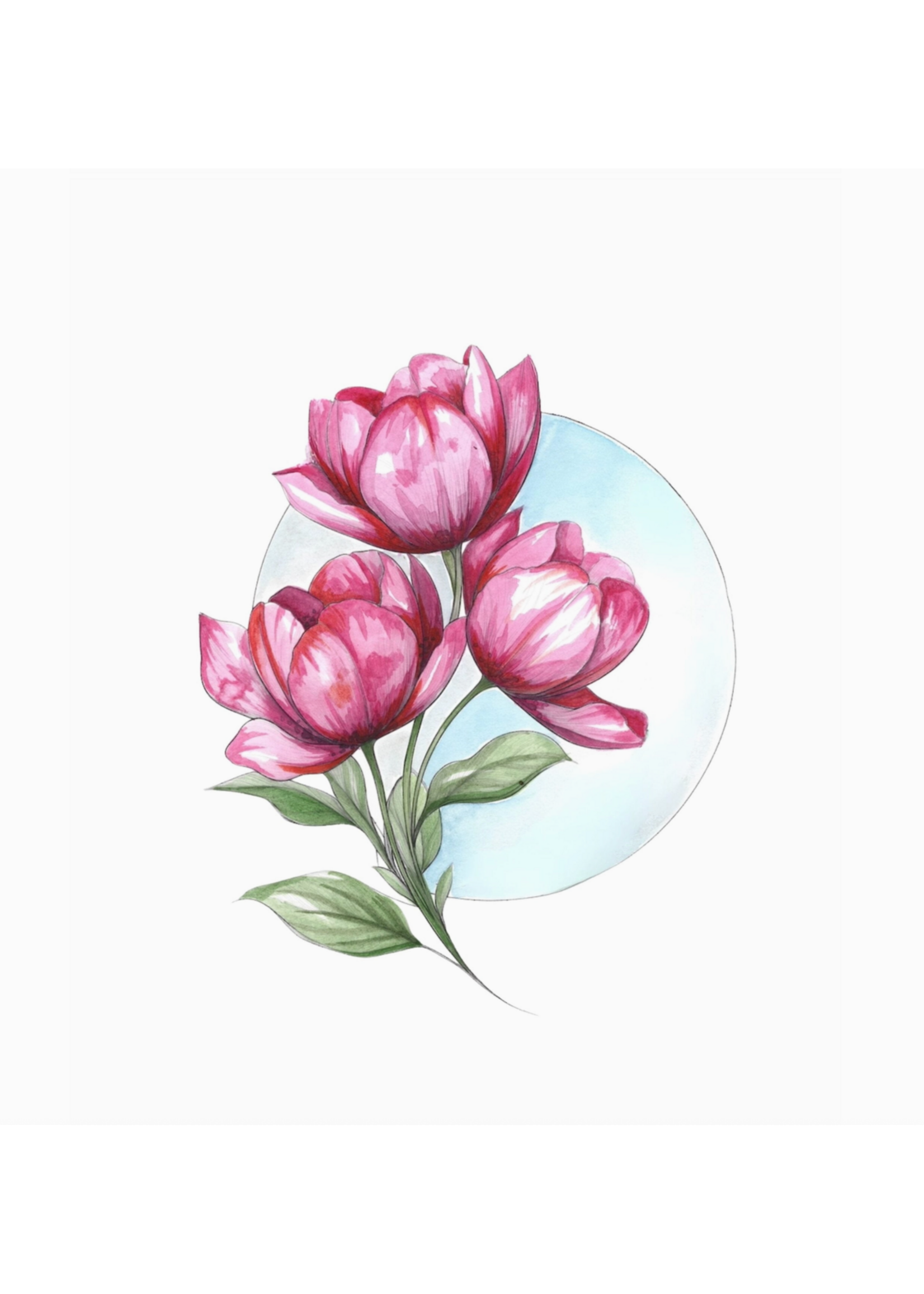 Willow Wolfe Bold Flowers Watercolour Workbook