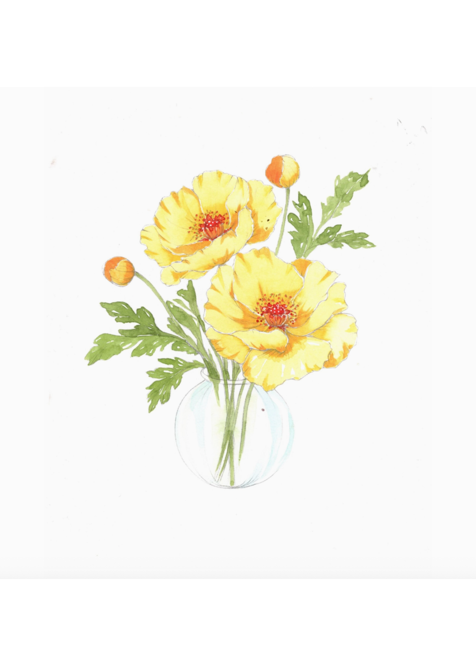 Willow Wolfe Bold Flowers Watercolour Workbook