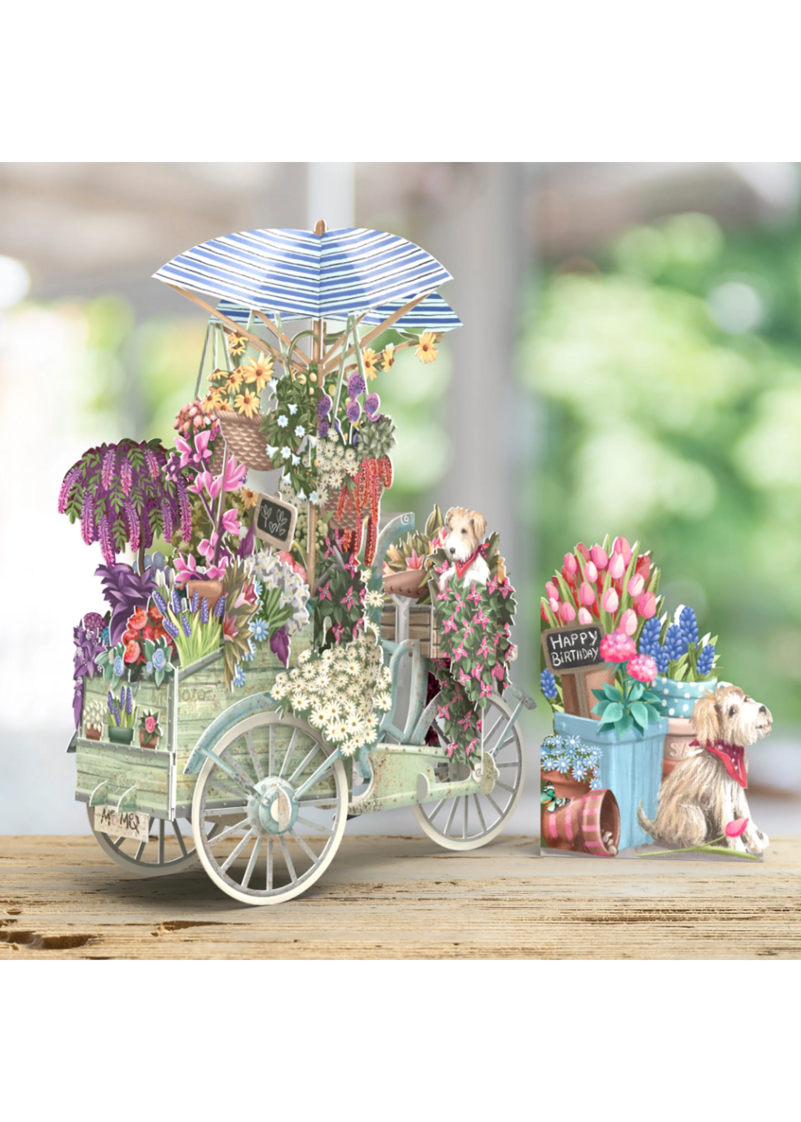 Paper D'Art 3D Pop Up Card Flower Seller's Bicycle