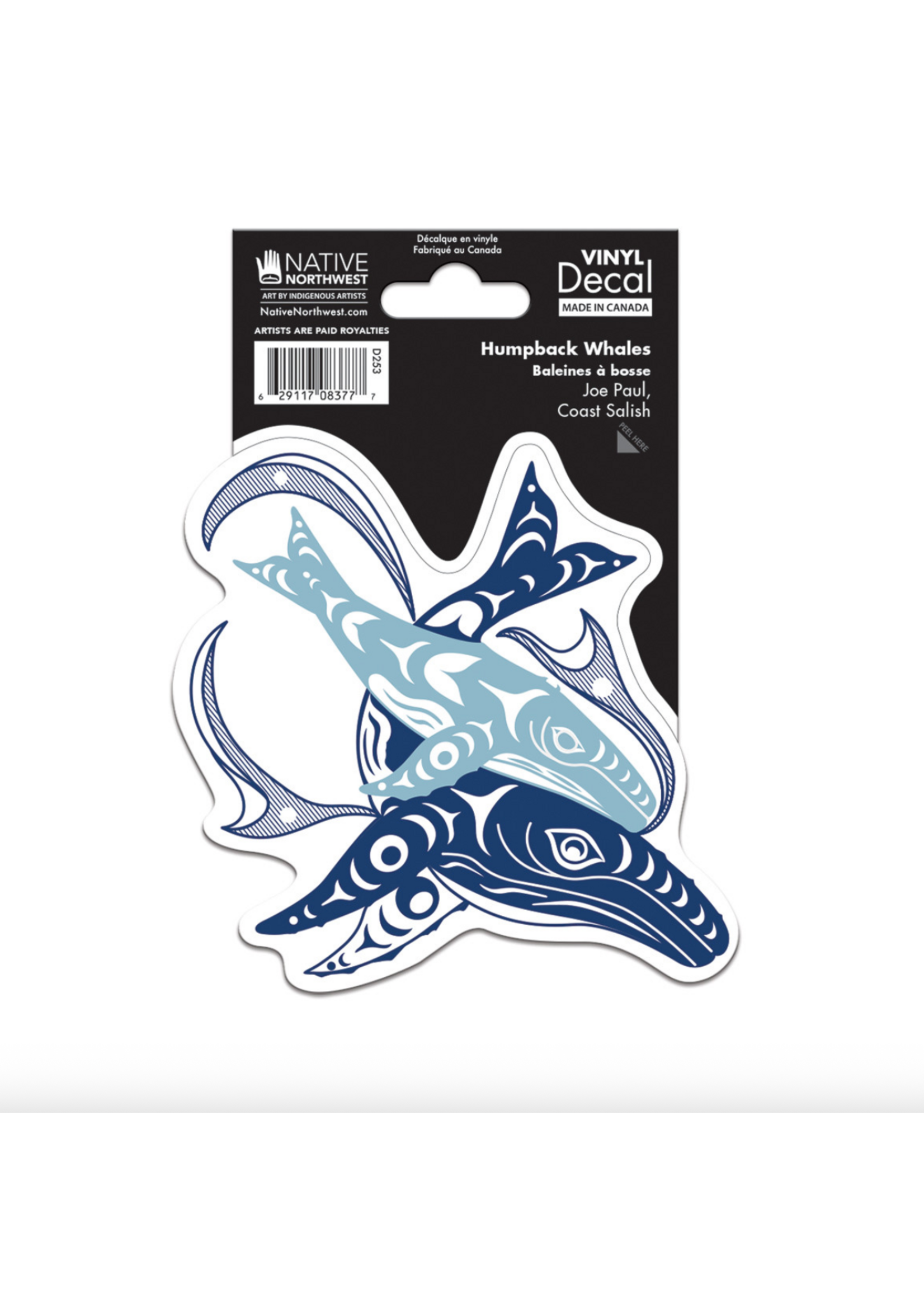 Native Northwest Humpback Whales by Joel Paul Sticker