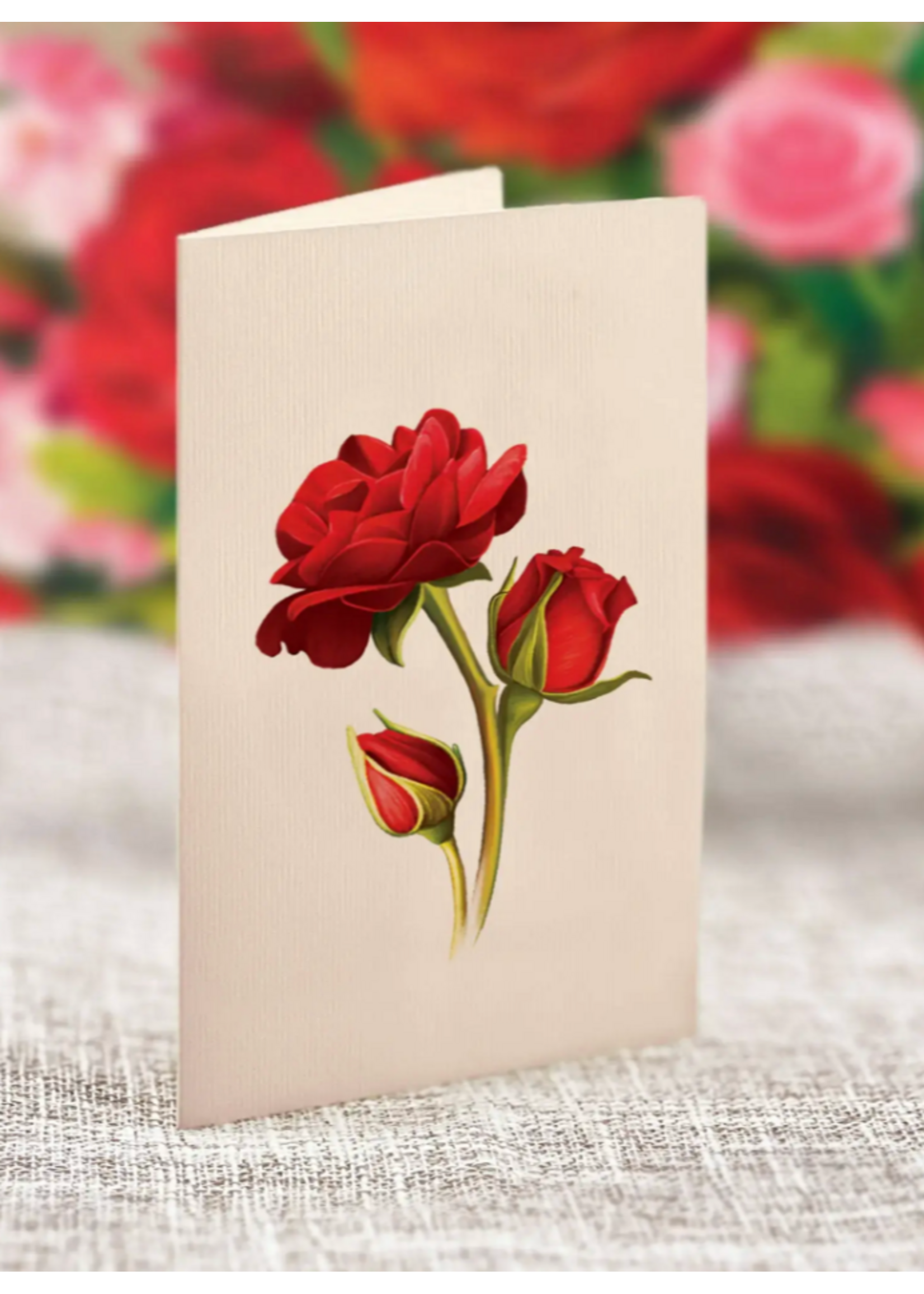 Fresh Cut Paper Blooming Roses Pop Up Flower Bouquet