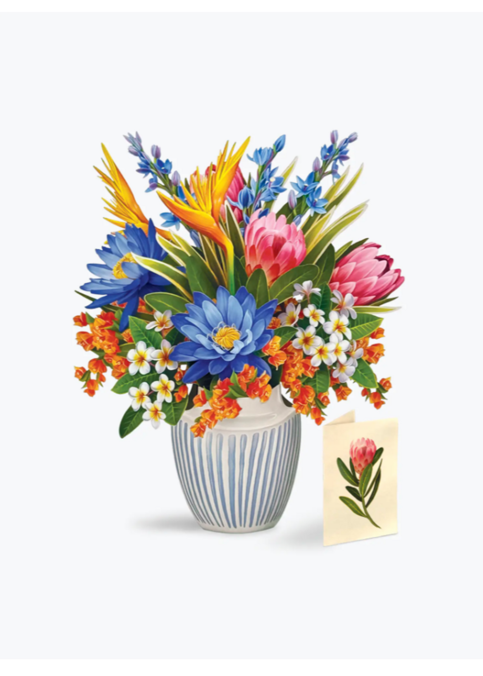 Fresh Cut Paper Tropical Paradise Pop Up Flower Bouquet