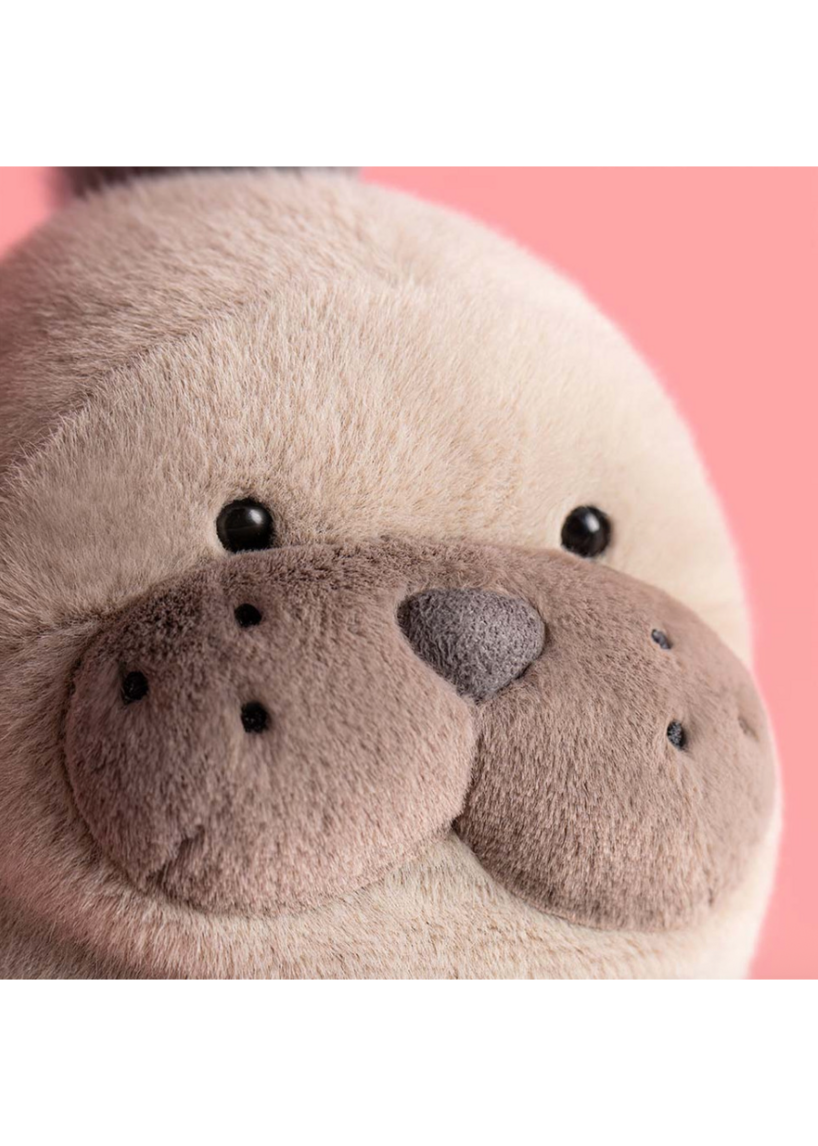 Jellycat Roarwell Sea Lion Jellycat