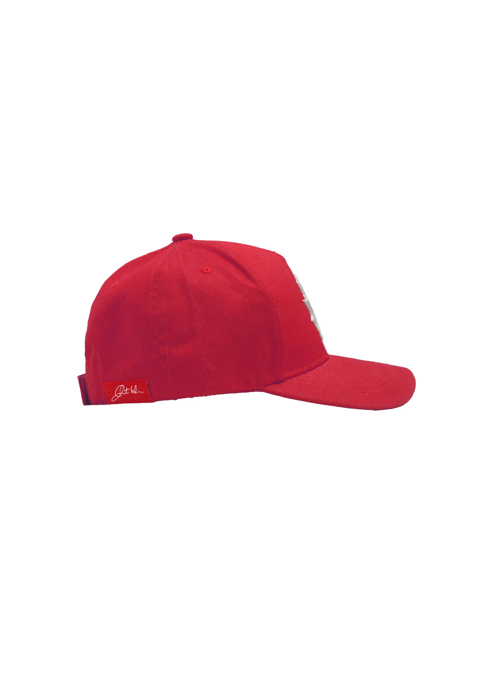 Oscardo Curtis Wilson Standing Together Flag Cap