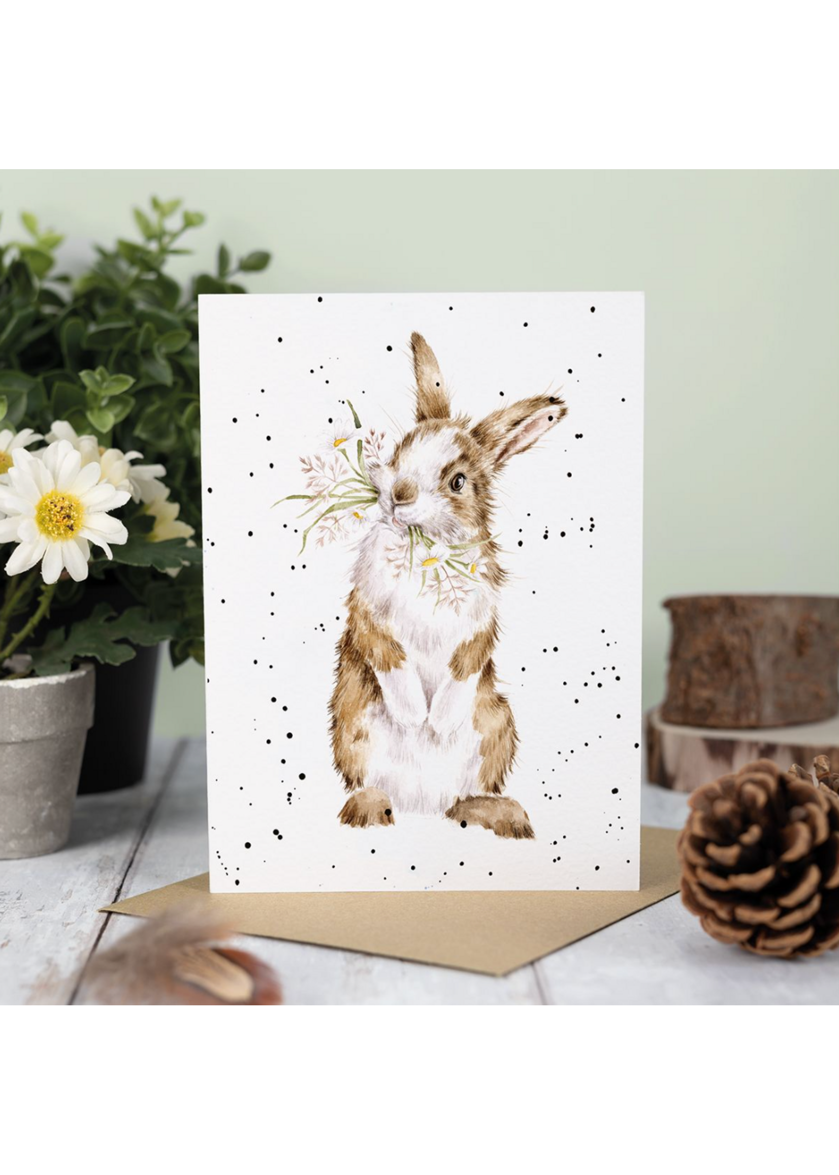 Wrendale Designs All Ears Bunny Greeting Card