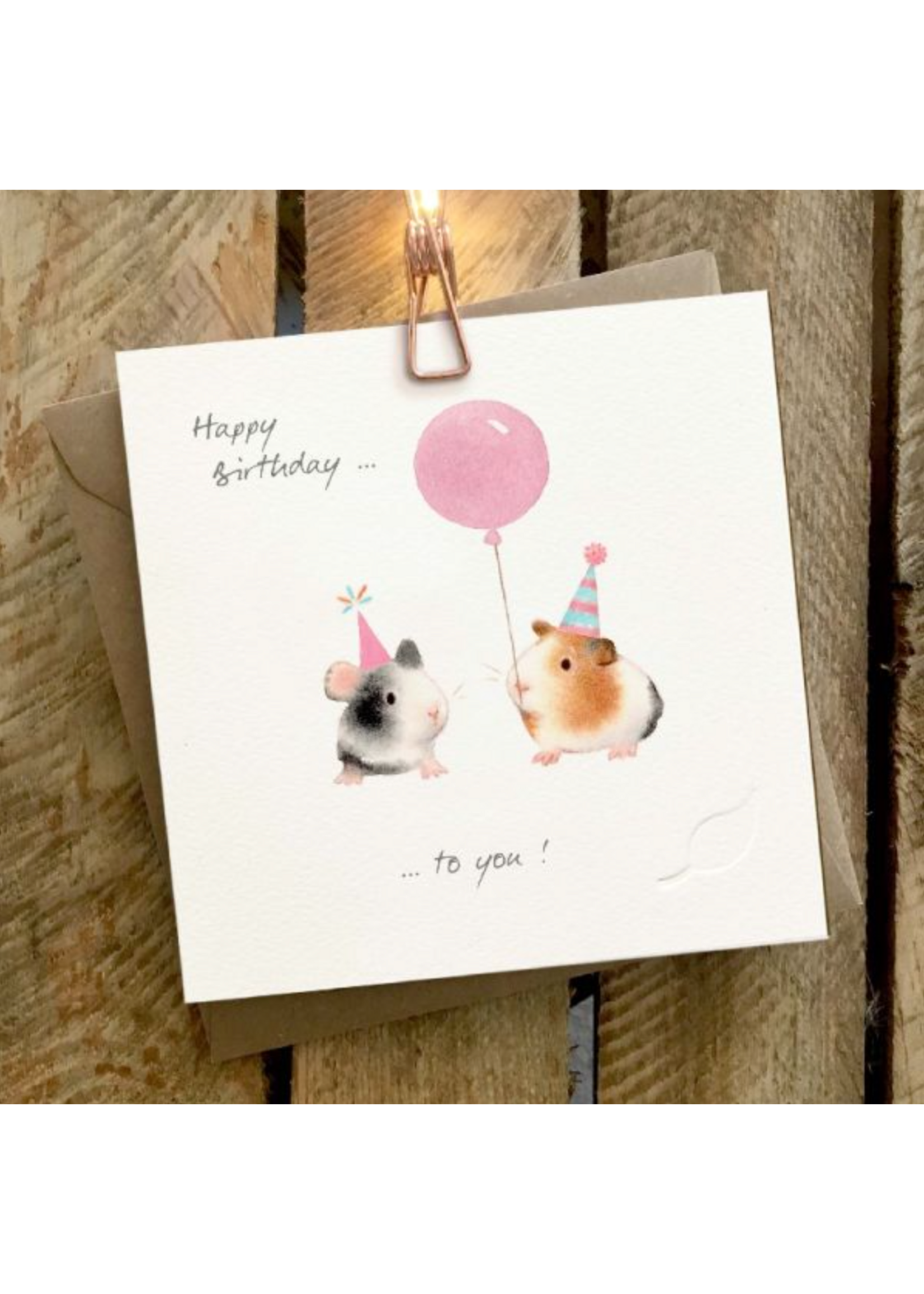Ginger Betty Birthday Guinea Pigs