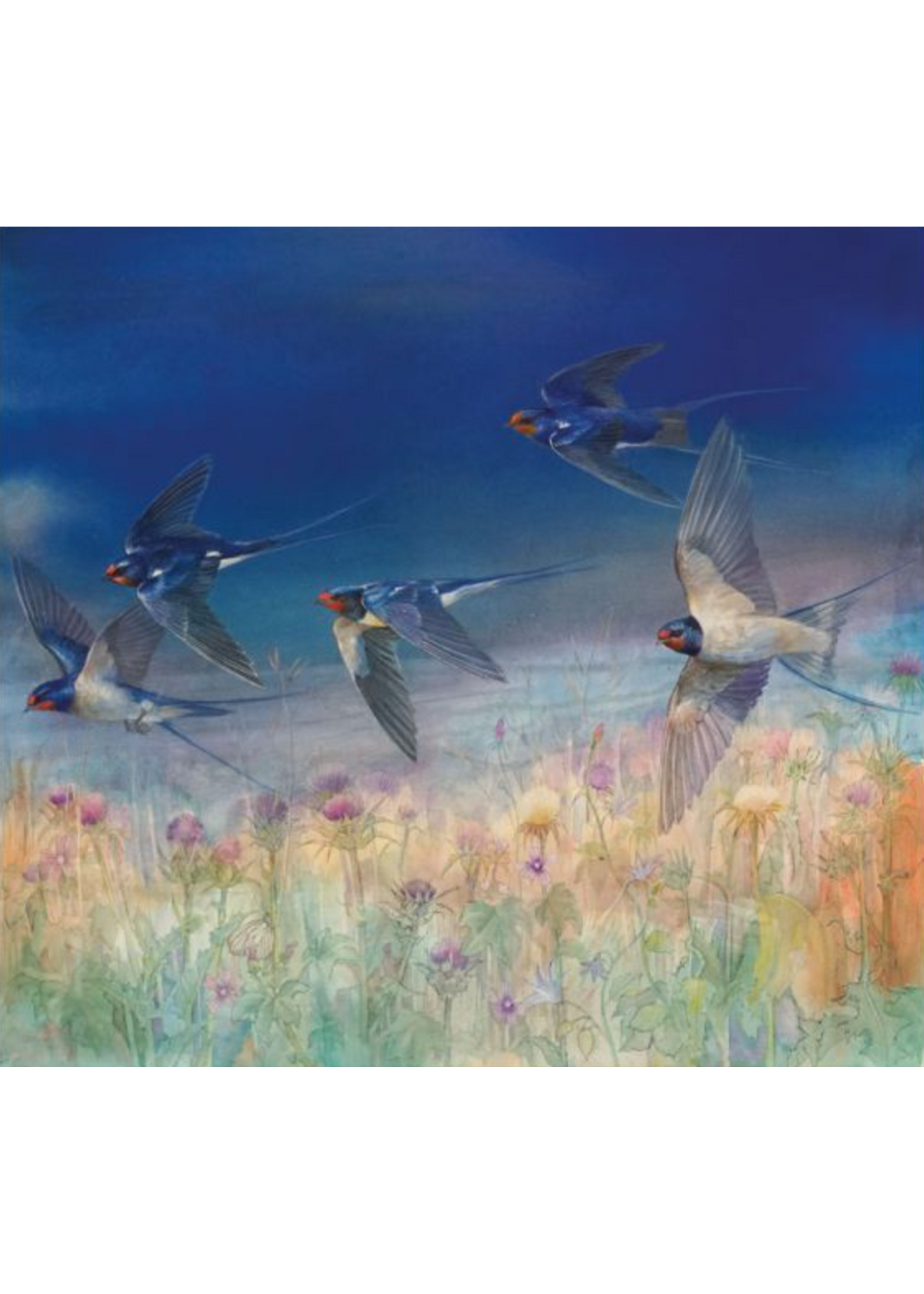 Dry Red Press Evening Swallows