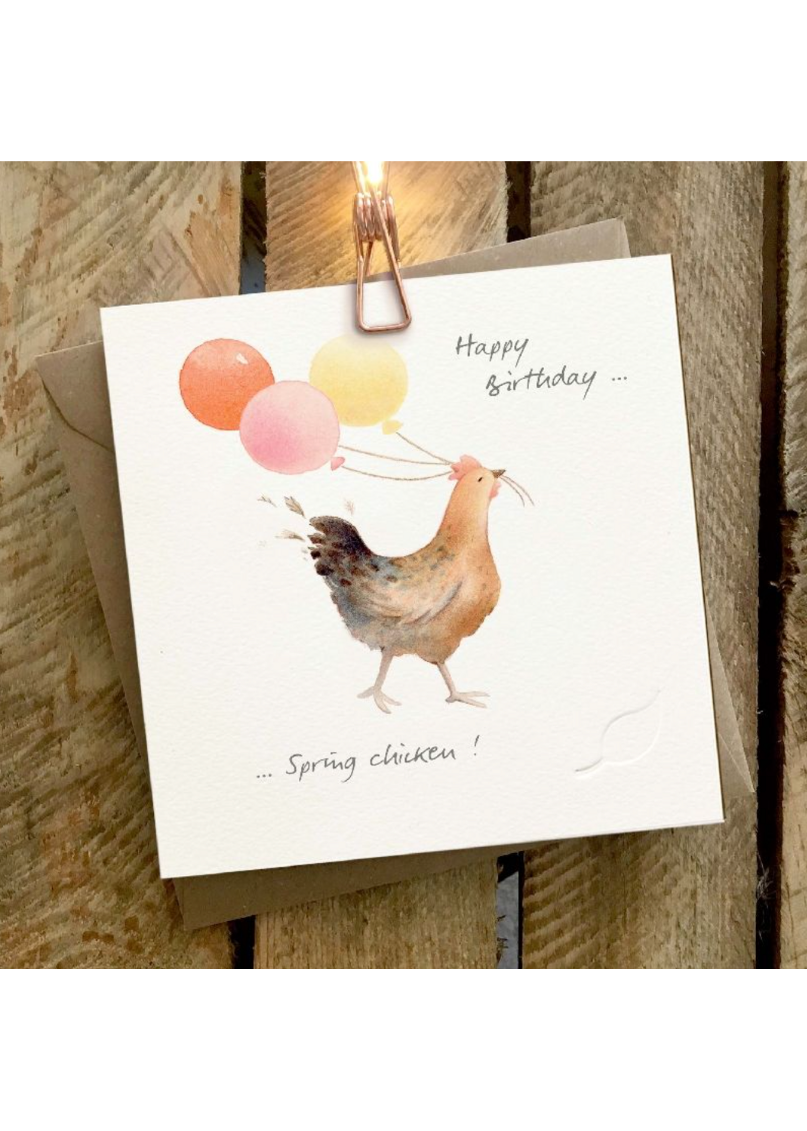 Ginger Betty Birthday Spring Chicken