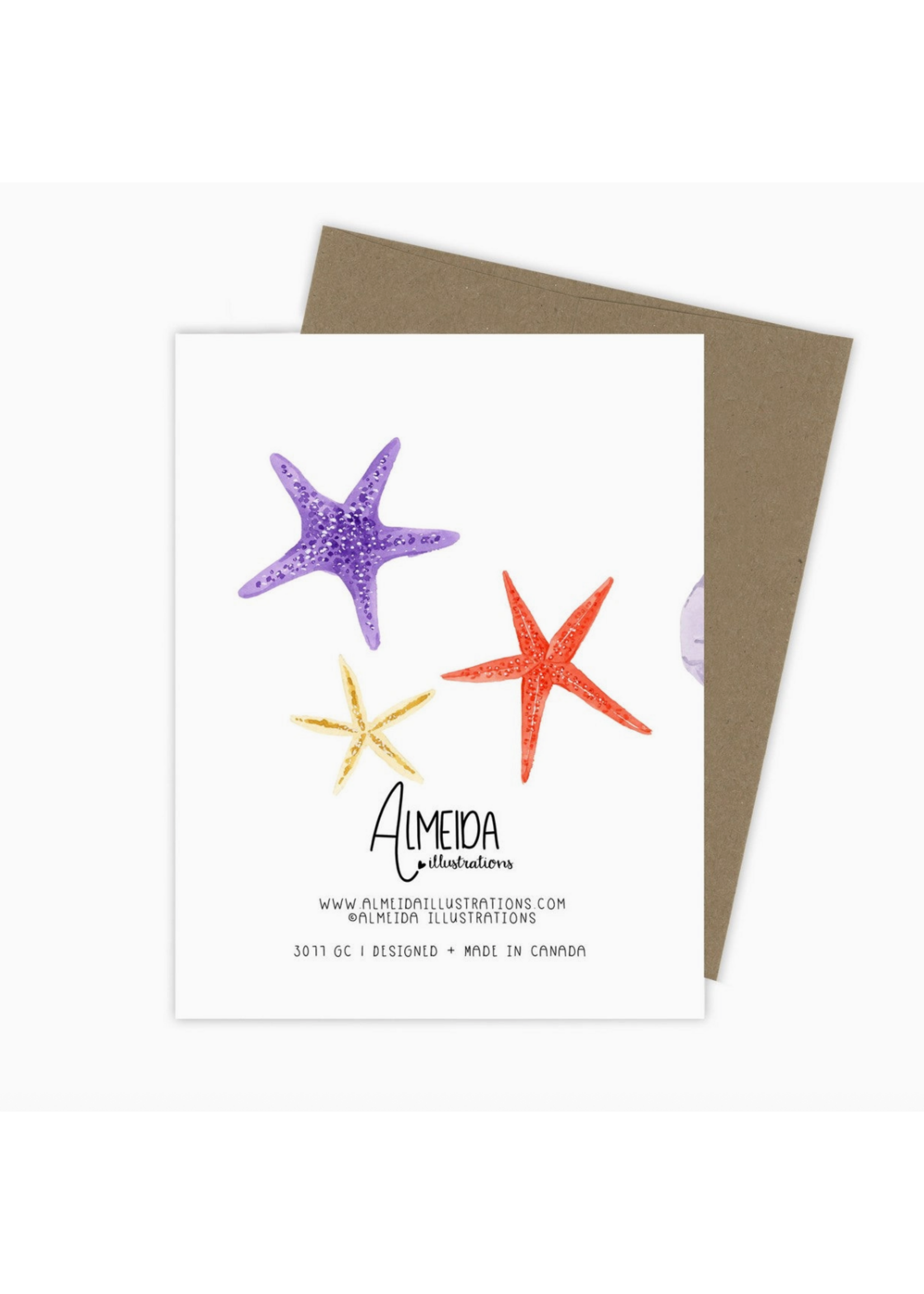 Almeida Illustrations Happy Birthday Shells