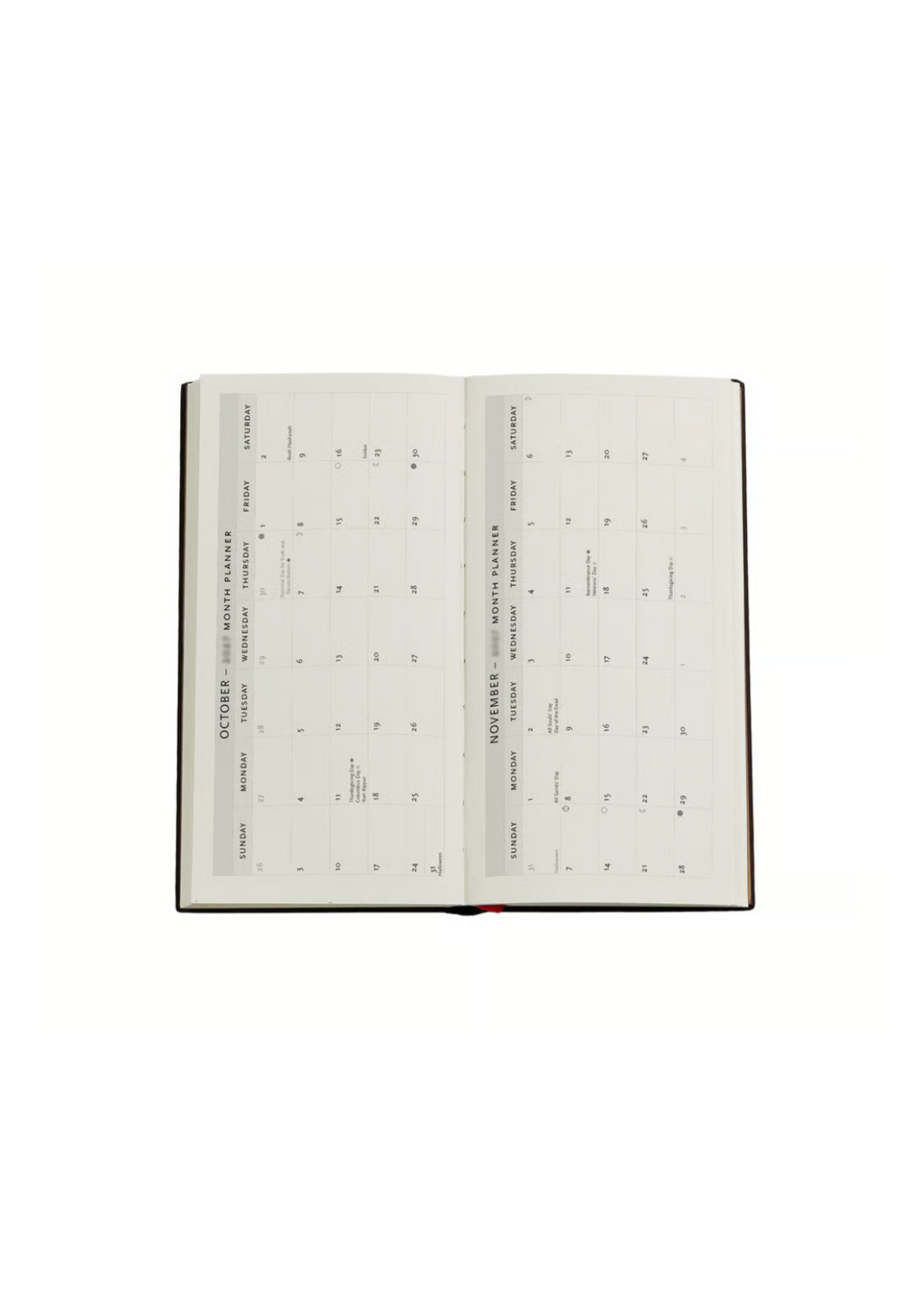 Paperblanks 2027 Planner Golden Age of Prosperity Slim