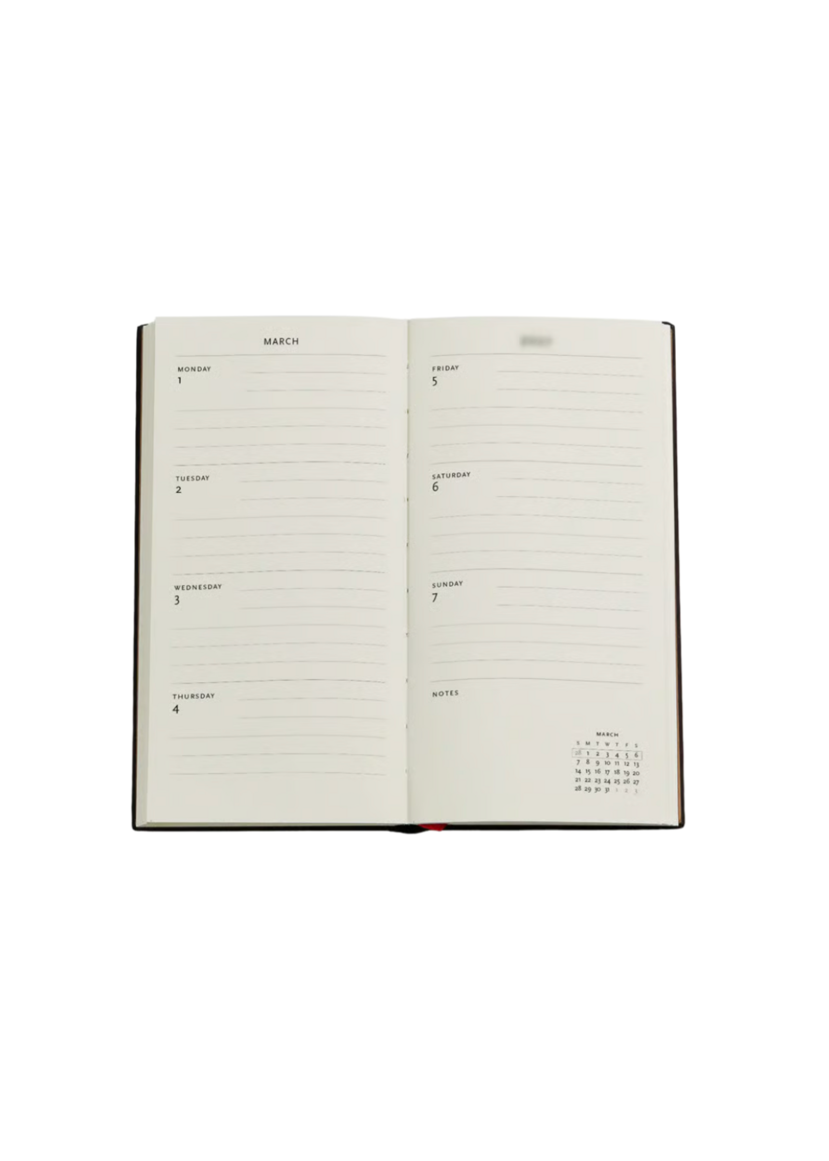 Paperblanks 2027 Planner Golden Age of Prosperity Slim