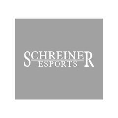 Schreiner Decal Esports