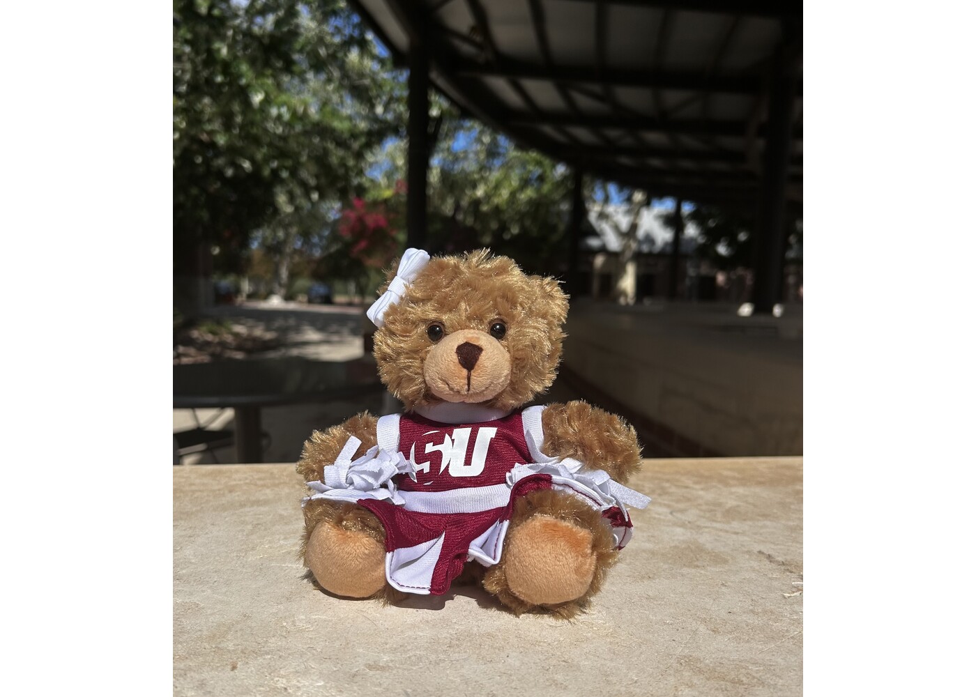Schreiner Cheerleader Bear