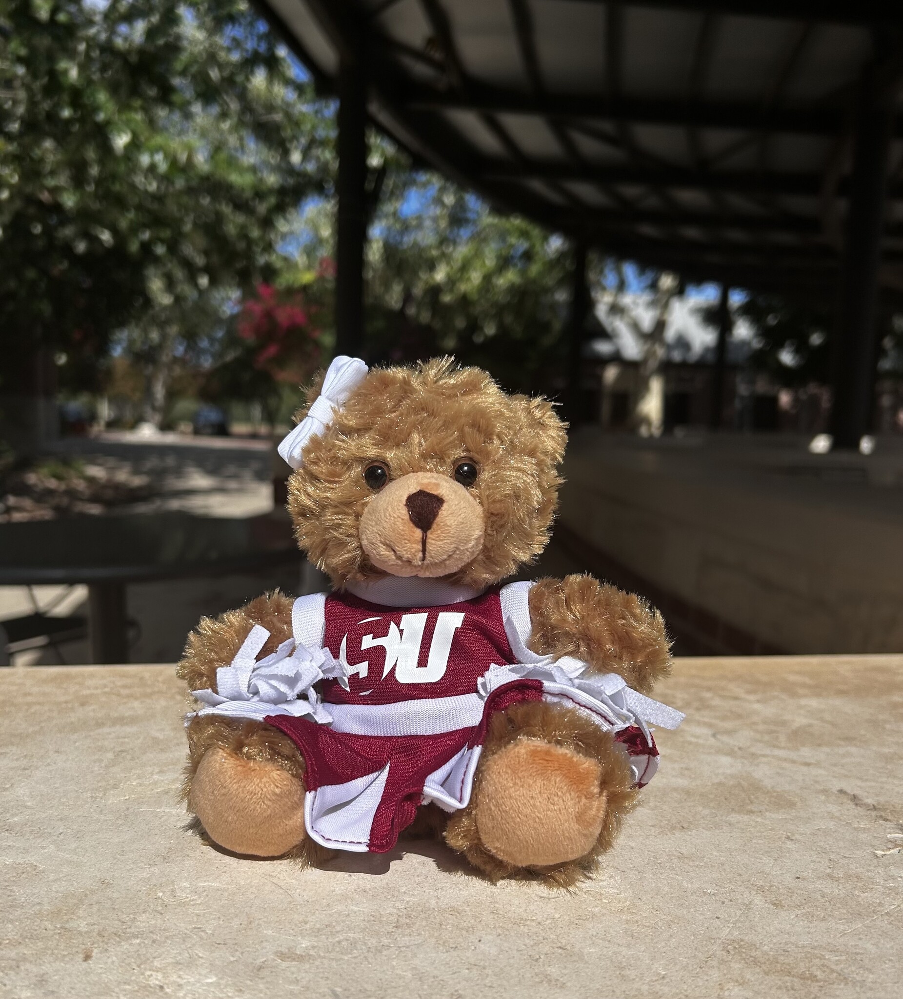 Schreiner Cheerleader Bear
