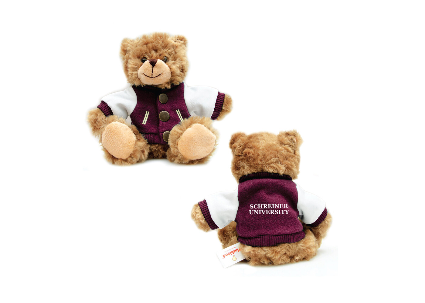 Schreiner Varsity Bear