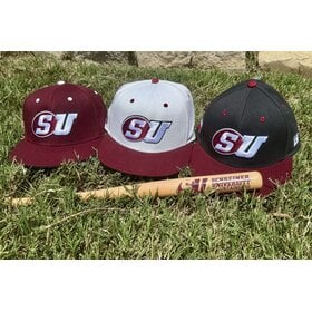The Game Schreiner On Field Cap
