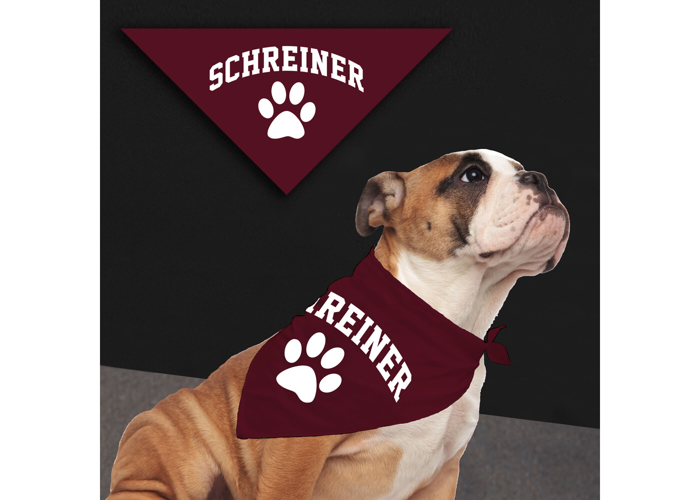 Small Pet Bandana