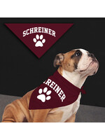 Small Pet Bandana