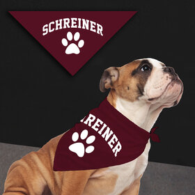  Small Pet Bandana