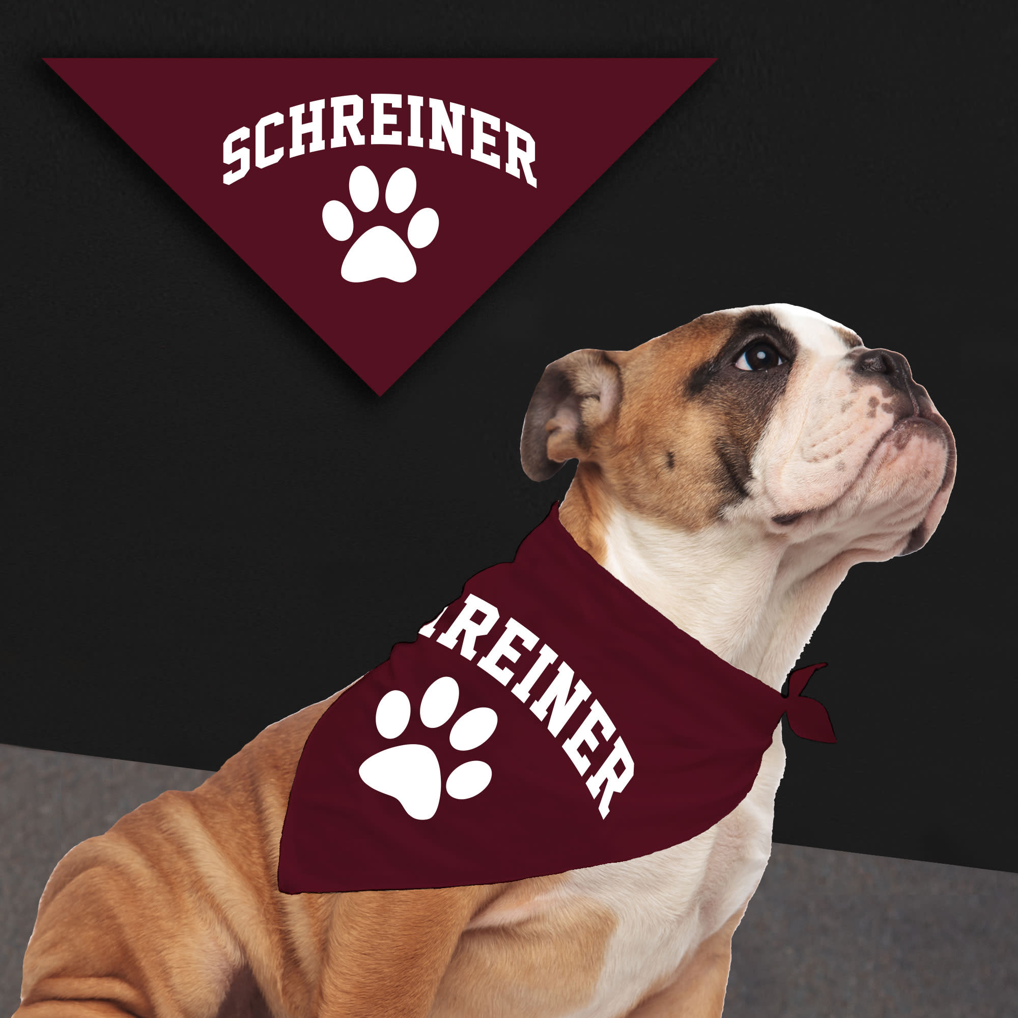 Small Pet Bandana