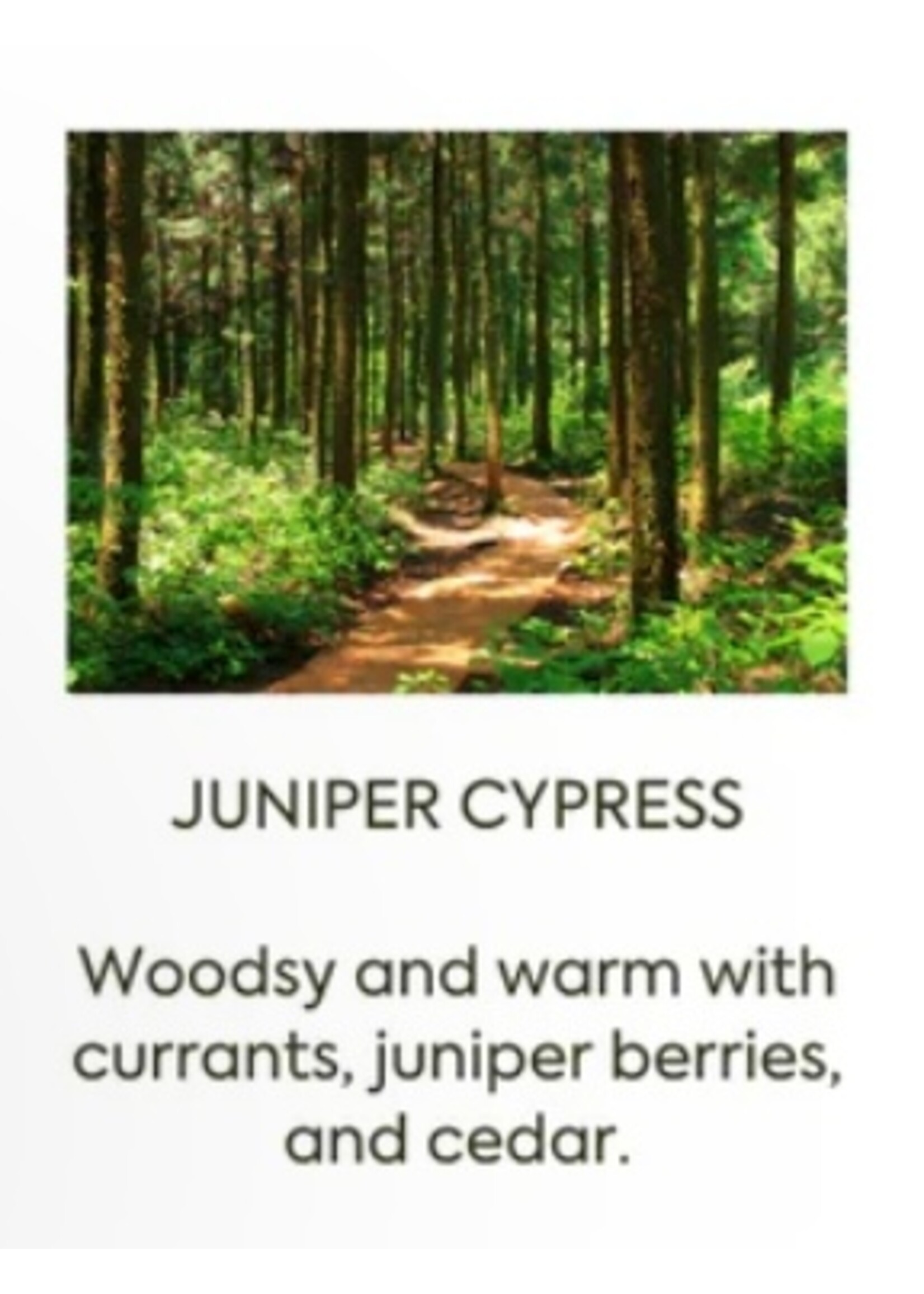 Schreiner University Holiday 12.7 Luxe Candle