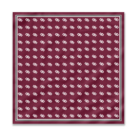  SU Signature Scarf