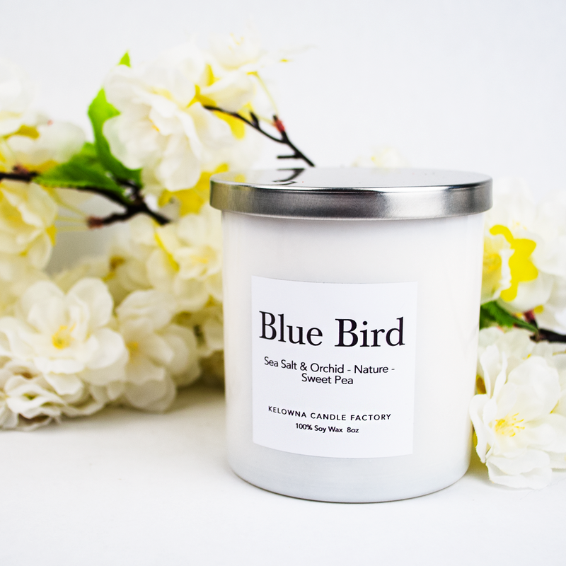 Kelowna Candle Blue Bird Soy Candle 8oz