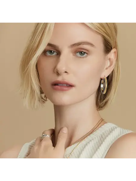 Brighton Brighton JA9352