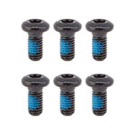 Avid Steel Rotor Bolt Kit, Avid - Torx T25 Set/6