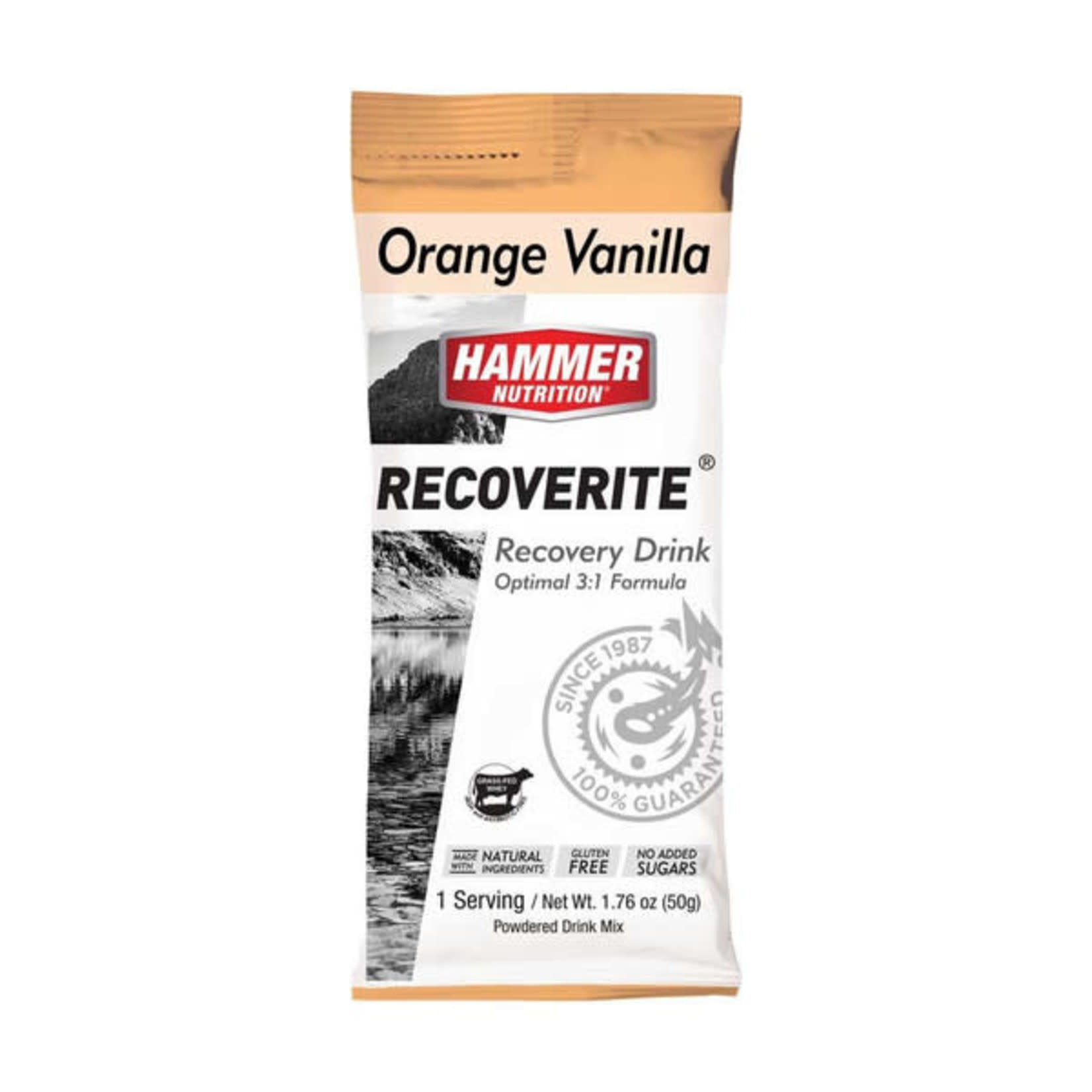 Hammer Nutrition Hammer Nutrition Recoverite, Single Serving, Orange Vanilla