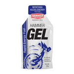Hammer Nutrition Hammer Gel, Single Serving, Huckleberry