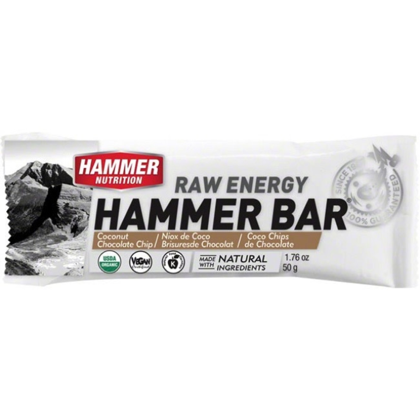 Hammer Nutrition Hammer Nutrition Raw Energy Bar, Coconut Chocolate Chip