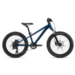 Giant STP 20 FS-Giant Blue Palace