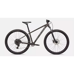 Specialized ROCKHOPPER SPORT SMK/CLGRY L - 29