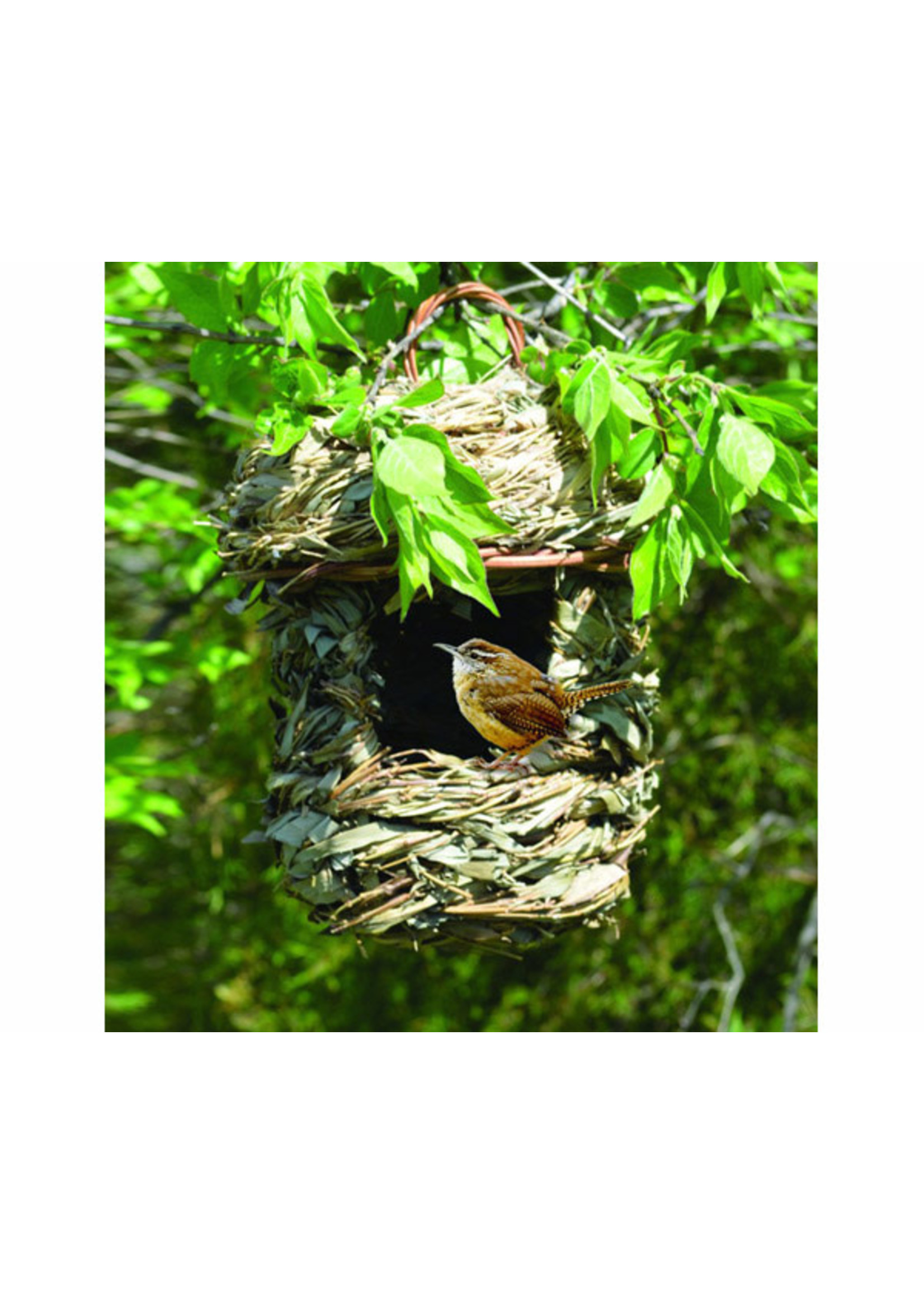 Songbird Essentials Acorn Hanging Roosting House